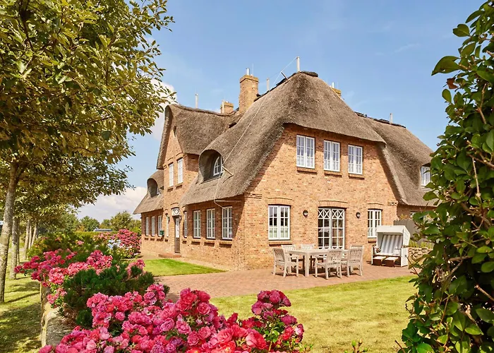 Strandlöper * Utersum