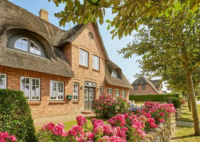 Strandlöper * Utersum