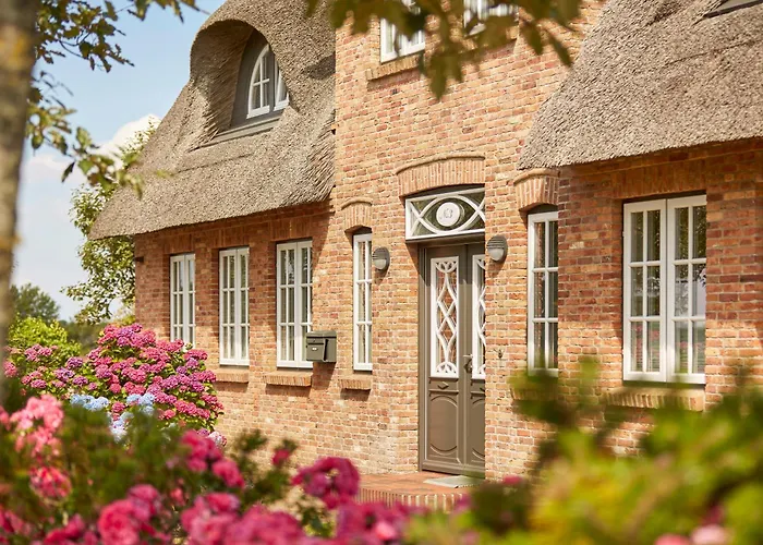 Strandlöper * Utersum